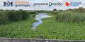 Expertmeeting invasieve exoten en bodem Noord Nederland